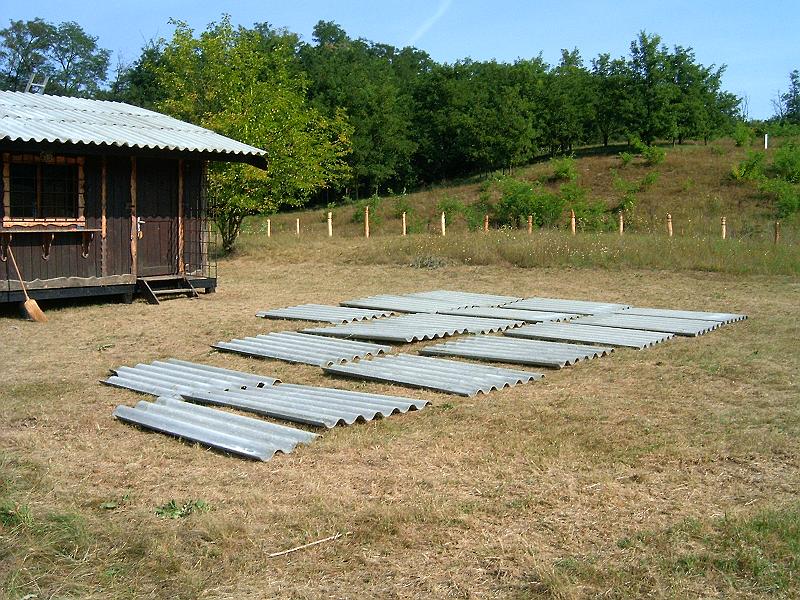 2009.08.22 008.jpg